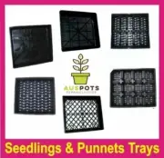 10pcs Set - Hydro / Seeding / Punnet Trays - Propagation & Seedling, Hydroponic