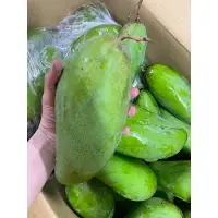 在飛比找蝦皮購物優惠-台灣中大顆芒果青 50 10斤480(48/斤）