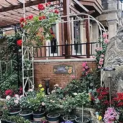 Garden Arches Garden Arch Wrought Iron Self Assembled Arch Flower Stand Used for Climbing Plants and Roses Outdoor Lawn Backyard Patio Wedding