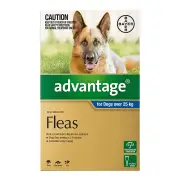 Advantage For Extra Large Dogs Over 25kg Blue 6 Doses