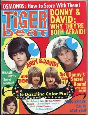 MAG: Tiger Beat Magazine May 1973- Donny Osmond- Andy Williams- David Cassidy