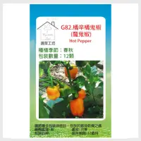 在飛比找momo購物網優惠-【蔬菜工坊】G82.橘辛橘鬼椒種子12顆(魔鬼椒)