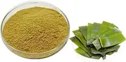 Dehydrated Kelp Powder Dehydrated Vegetables (200g)