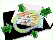 Original USA Mag Zinger Ring of Power Blakoe Male ROP Libido Booster Zinc Copper