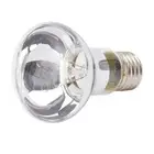 Reptile UVA Spot Light Bulb E27 100W Day Night Heat Lamp for Amphibians