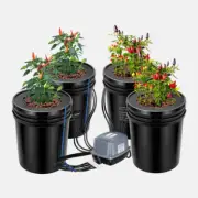 Clearance 5x Pots DWC 20L Buckets Aerated System Kit Indoor Hydroponics Grower