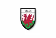Patch Termocollant Edge Embroidered Flag Printed Land Wales Welsh