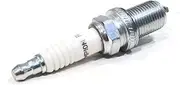 Champion Spark Plug for Briggs & Stratton 635512, 696073, 696202, 696798 Engines