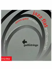 Galli Flat Jazz nickel Wound Electric Guitar Strings