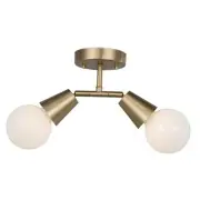 2-Light Modern Track Lighting Kit,Matte Brass Pivot Light Head, Flush Mount