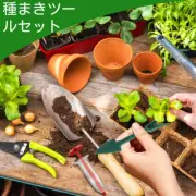 6Pcs Mini Sowing Seed Dispenser Sower Set Manual Handhold Seedlings Dibber StPfs