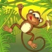 Monkey Farts Fragrance Oil Candle/Soap Making Supplies **Free Shipping**