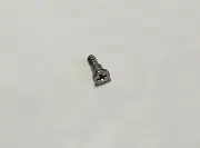 Genuine Casio DW-5900 DW-6900 G-2300 PAG-40 PRG-40 BG-169 bezel screw (QTY 1)
