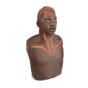 BRAYDEN OBI Conversion Kit