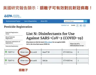 PYX 品業興 兒童口罩P輕薄版－碧羅春 【品業興官方授權經銷】 (7.8折)