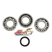 All Balls 24-1089 Crank Shaft Bearing and Seal Kit