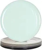 Youngever 9 Pack 25CM Plastic Plates, Large Plates, Dinner Plates, Set of 9 (9 Urban Colors)