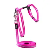 Rogz Alleycat Harness Lead Pink