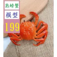 在飛比找蝦皮購物優惠-【三峽貓王的店】模擬大閘蟹模型公蟹母蟹螃蟹模型陽澄湖大閘蟹模