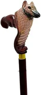 THOR INSTRUMENTS Beautiful Head Walking Stick Canes Reed Wood Wooden Hand-Carved Carving Handmade Cane Stick Labrador Stylish Wood Walking Stick