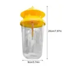 Reusable Fruit Fly Trap Killer Yellow Cage Drosophila Fly Catcher *1 Trap S19C