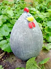 Latex fat hen mold plaster cement concrete casting chicken rubber mould 5" x 3"W