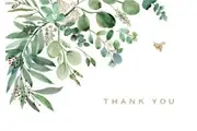 Peter Pauper Press Boxed Thank You Note Cards - Eucalyptus 341921