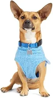 YOULY Blue Underlay for Dogs, X-Small