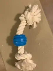 Tug-o-War & Chew Rope for Dogs small/Medium NEW