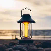 在飛比找momo購物網優惠-【N9 LUMENA】古典美學LED氣氛燈 兩色(露營桌燈 