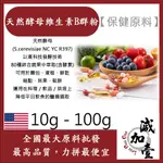 減加壹 天然酵母綜合維生素B群粉 10G 100G 保健原料 食品原料 美國專利 酵母 維他命 維他命B群