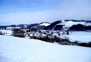 紹爾旅館飯店