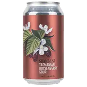 Shambles Tasmanian Boysenberry Sour 375ml Can