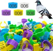 8Mm 100Pcs Pigeon Leg Bands Bird Foot Rings with 5 Colors Quail Chicks Small Bir