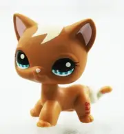 Mini Pet Shop Toys Brown Short Hair Cat LPS #1170 Rare Blue Eyes