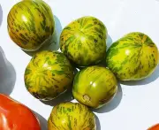 TOMATO 'Green Zebra' seeds