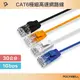 (現貨) 寶利威爾 CAT6 極細高速網路線 30公分 網路線 RJ45 福祿克認證 POLYWELL