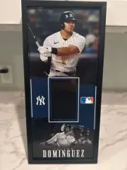 Jason Dominguez Vinyl Printed PSA or Beckett Graded card Display Case