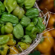 Chilli - Habanero XL Green seeds