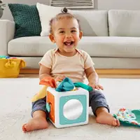 在飛比找樂天市場購物網優惠-【愛吾兒】費雪 Fisher Price 趣味活動方塊