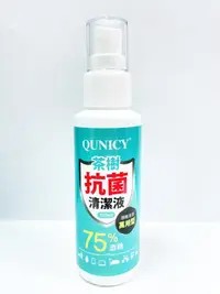 在飛比找松果購物優惠-MIT台灣製｜茶樹抗菌清潔液250ML｜75%酒精噴霧｜乾洗