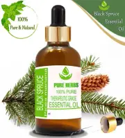 Pure Herbs Black Spruce 100% Pure & Natural Picea Mariana Essential Oils