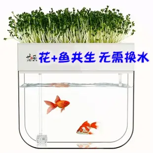 【魚菜共生】小魚缸免換水生態金魚缸客廳家用桌面小型魚菜共生系統懶人水族箱