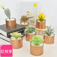 在飛比找PChome24h購物優惠-【Meric Garden】北歐ins風仿真多肉綠植物鐵罐小