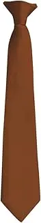 [Moda Di Raza] Boy's NeckTie Solid Color Clipon Polyester Tie - Many Colors