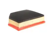 Air Filter For 07-16 Volvo XC60 S60 S80 V60 V70 XC70 3.0L 6 Cyl 3.2L FI FF82R4 (for: Volvo)