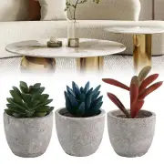 Artificial Succulents Soft PVC Material Flexible Placement Plant Decoration