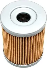 1 Pcs Dirt-bike Motorcycle Oil Filter For RV200 Drz125l Dr200s Dr200se Rv125 LTF250 Drz125 LTZ250 Ozark AN400