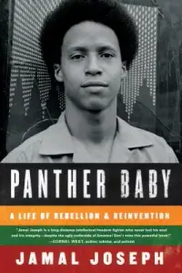 在飛比找博客來優惠-Panther Baby: A Life of Rebell