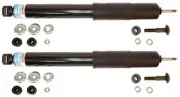 Bilstein Rear Shocks 1967-71 Ford Thunderbird